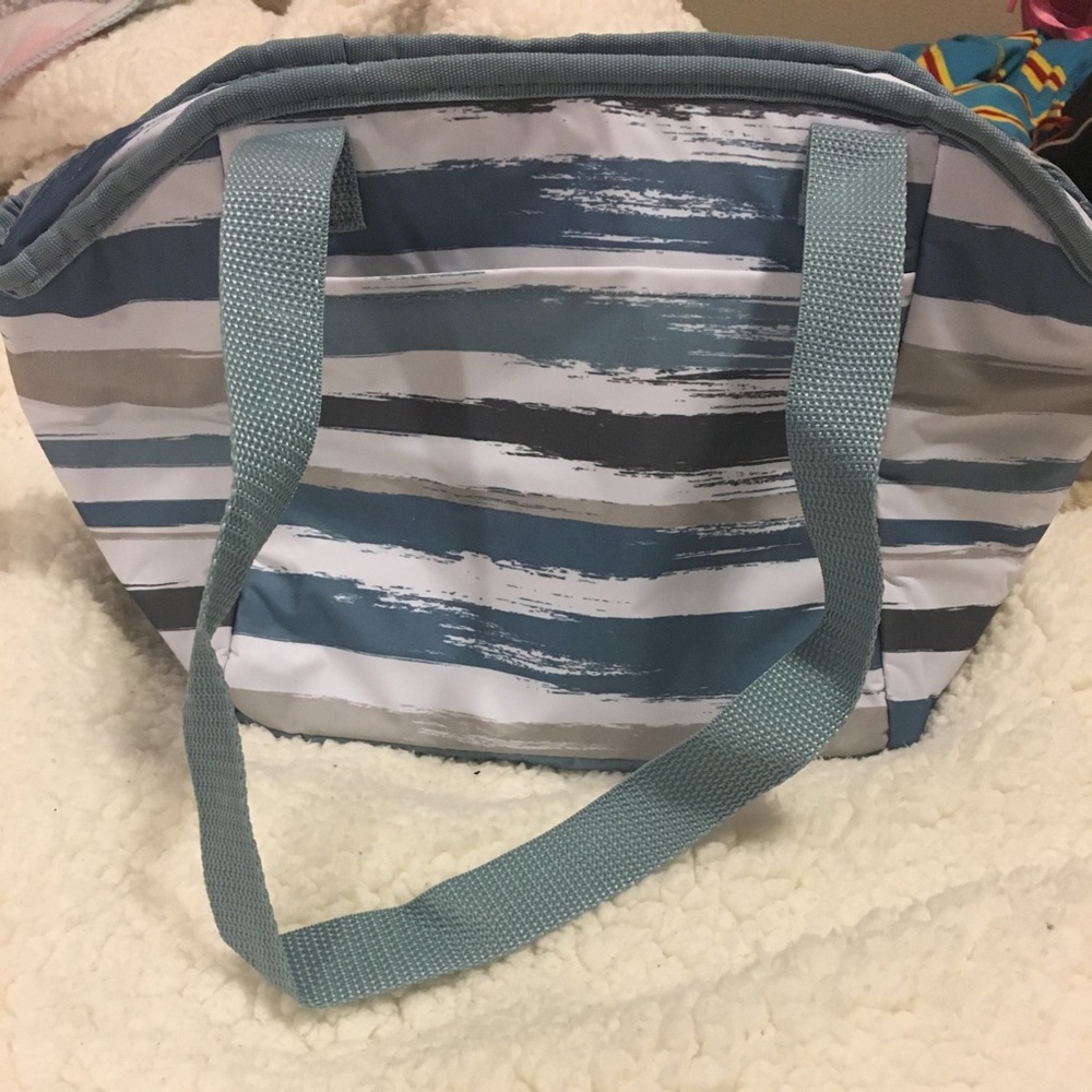 Thirty-one lunchbag